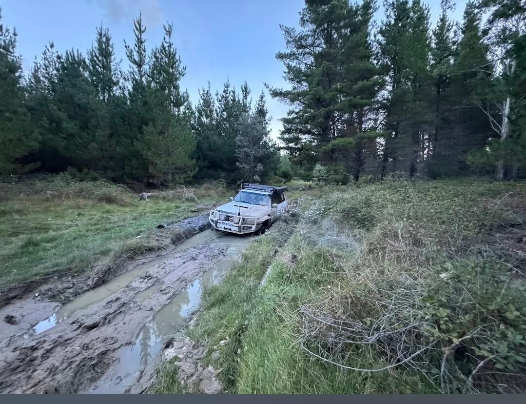 DVM Towing Service in Penrith - Professional towing truck with vehicle loaded